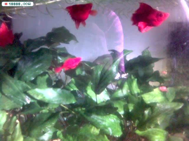 01-02-06_1349.jpg