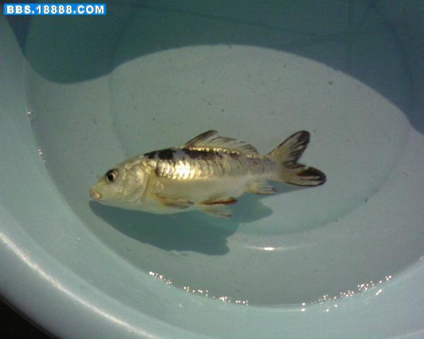 Photo-0013.jpg