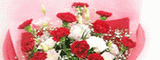 花草园林.gif