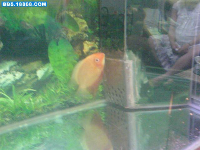 DSC01734.JPG