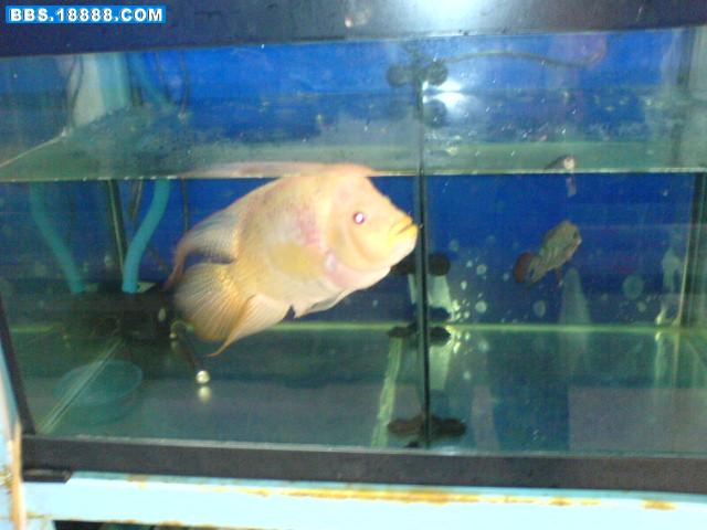 DSC00325.JPG