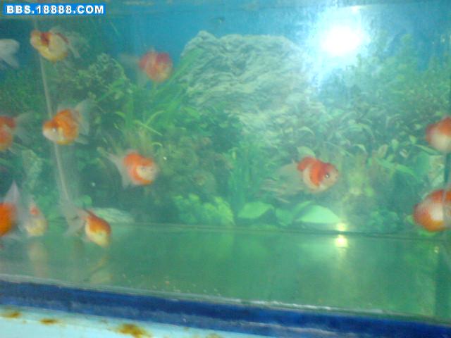 DSC00327.JPG