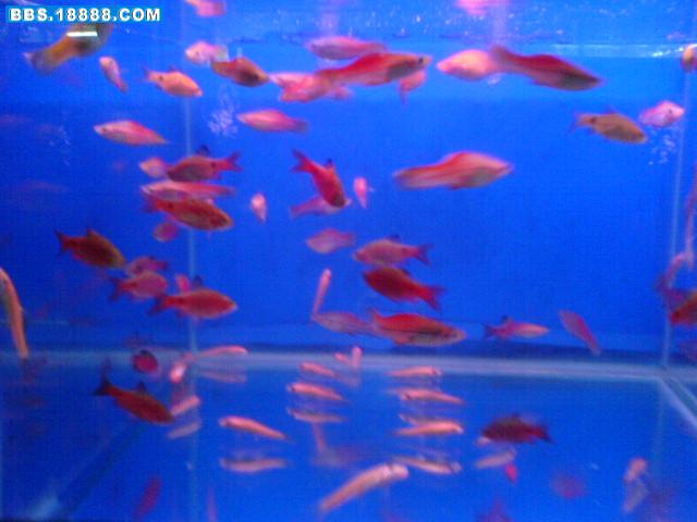 DSC00329.JPG