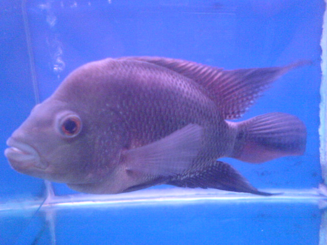 DSC00415.JPG