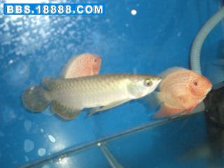 照片 157.jpg