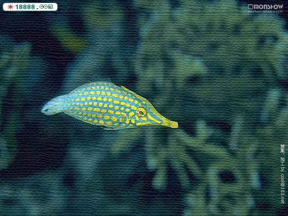ocean_025.jpg
