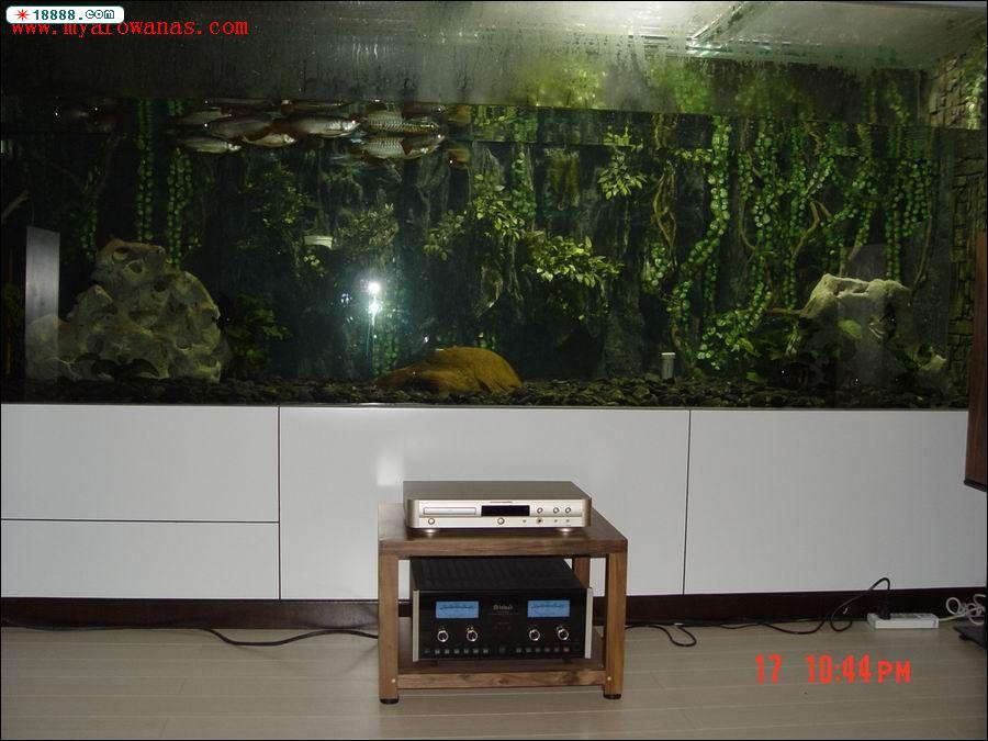 20041017233310919.jpg