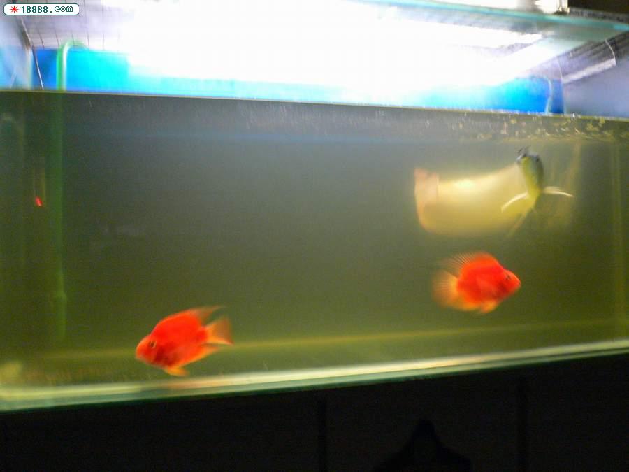 P1000665.jpg
