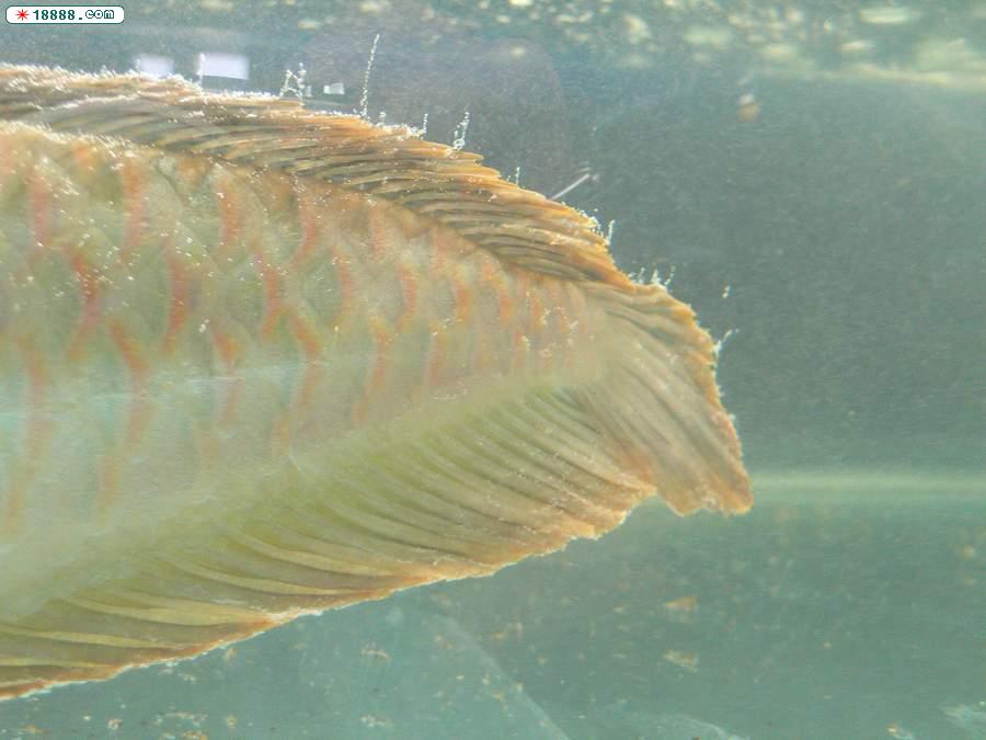 P1000697.jpg