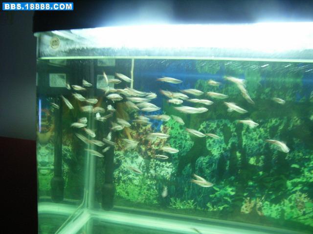 照片 035.jpg