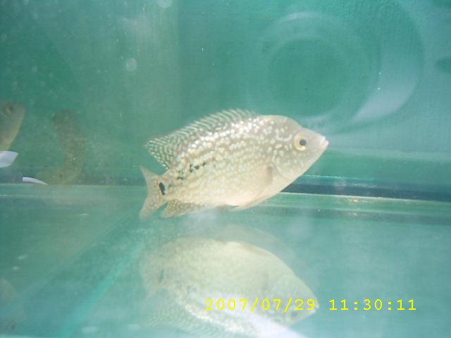 SUC30008.JPG