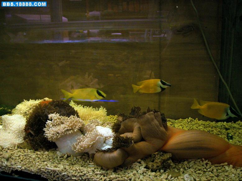 100_4167.jpg