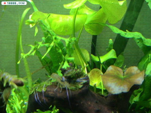 DSC00384.JPG