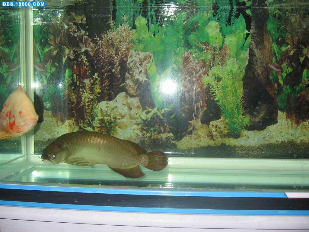 IMG_0022.JPG