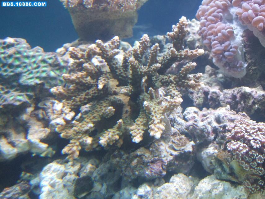 DSCF4815.JPG