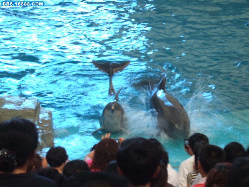 DSCF5611.JPG
