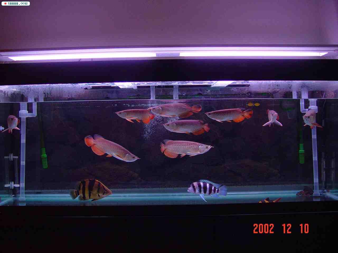 20062252282861248.jpg