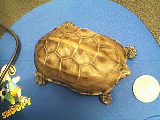 CDBCC6AC20006_1111931815.jpg