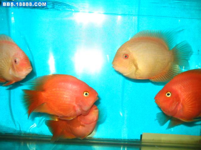 照片 094.jpg