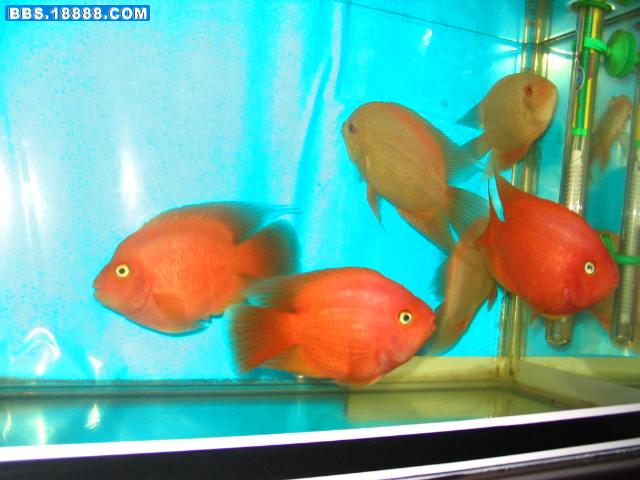 照片 092.jpg