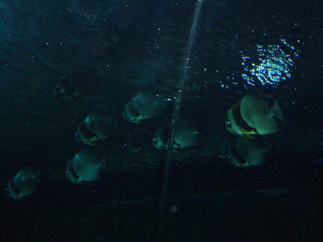 照片 076.jpg