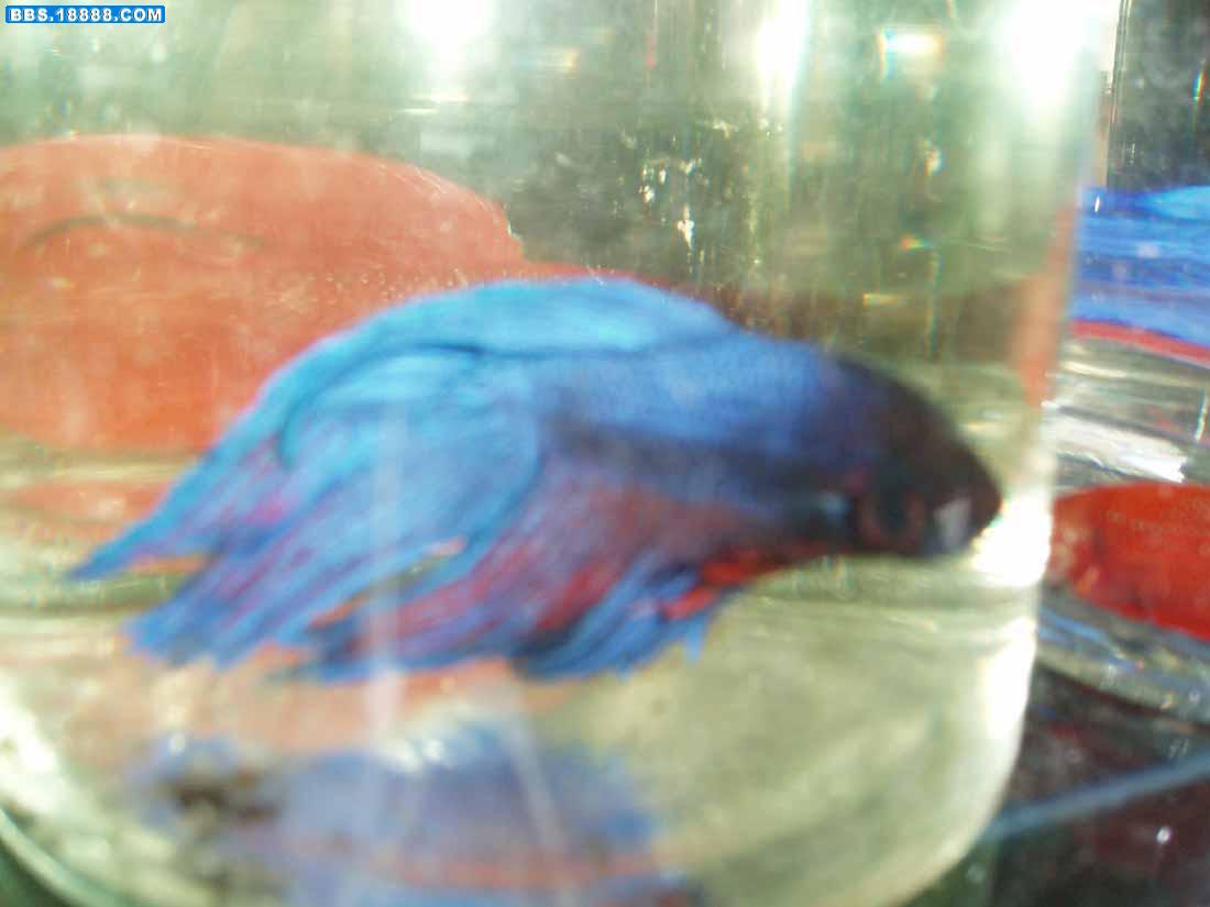 照片 160p.jpg