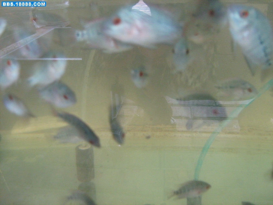 照片 017.jpg
