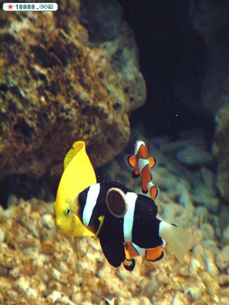 47_230_22.jpg