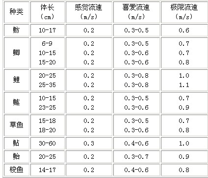 2005111821328389.jpg
