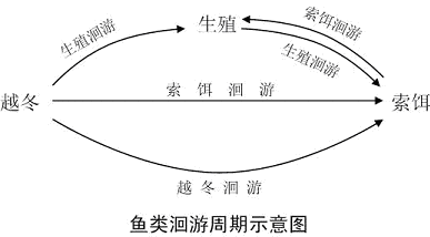 200210220027_6658.gif