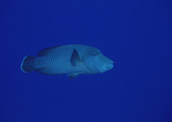 yu2_059.jpg