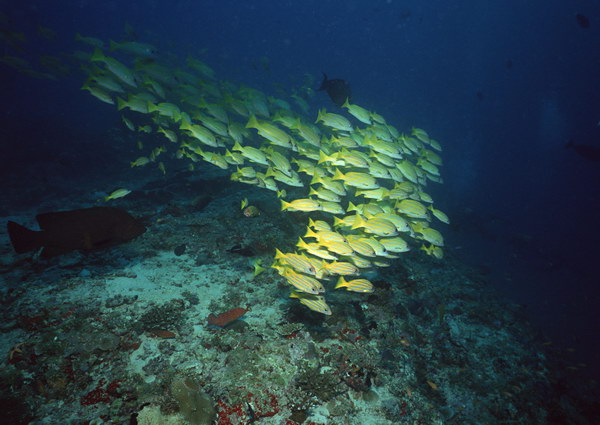 yu2_187.jpg