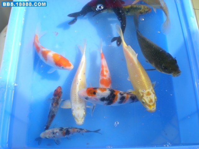 DSCN1581.JPG