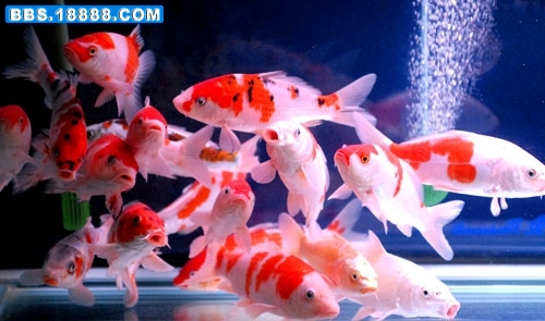 63_37840_7780c6e9b09cca6.jpg