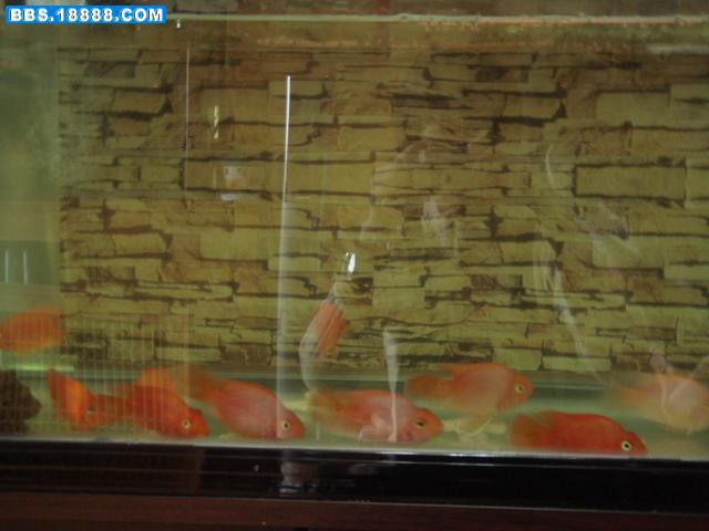 DSC00107.JPG