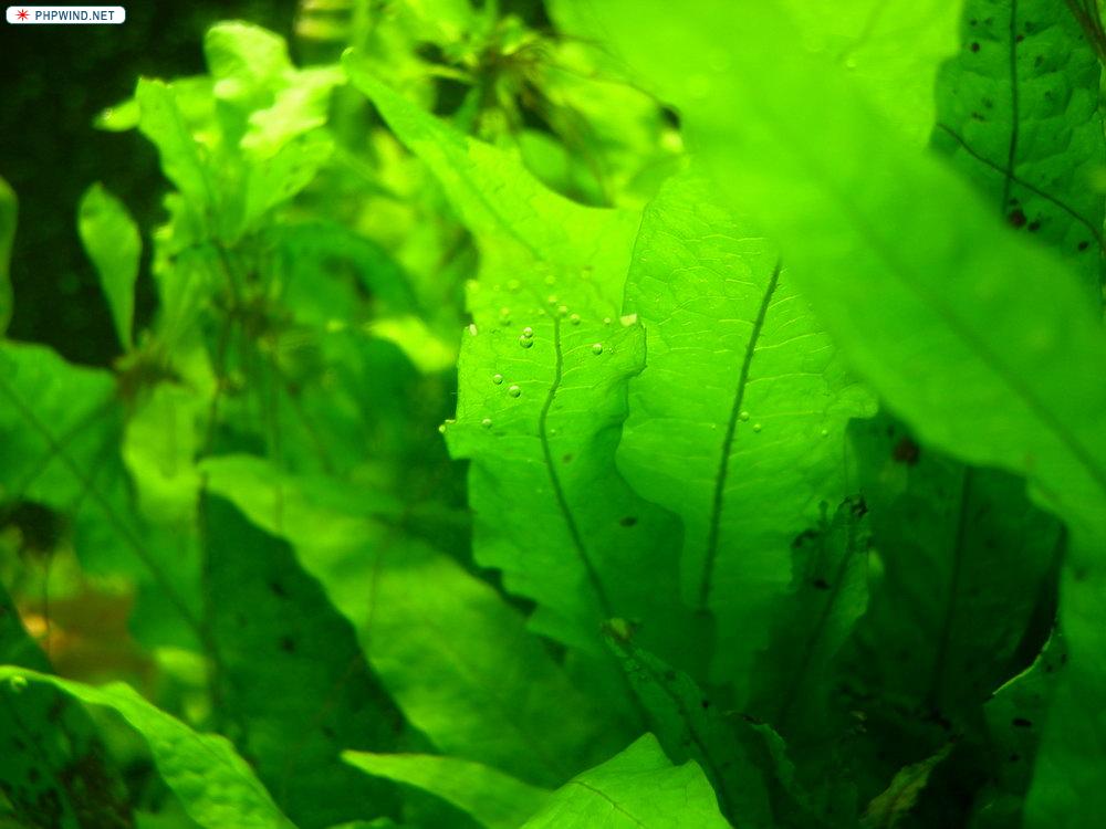 DSCN3853.JPG