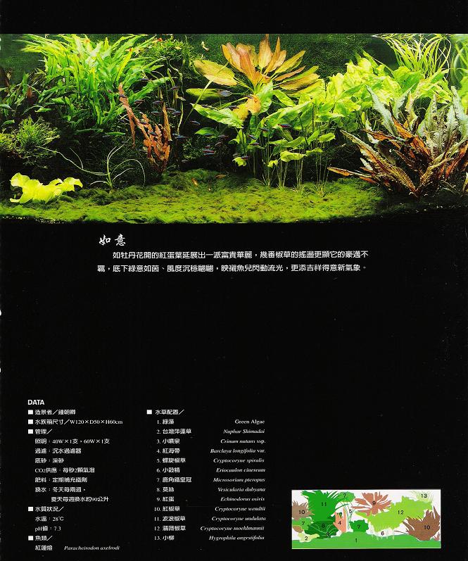 20051264405234.jpg