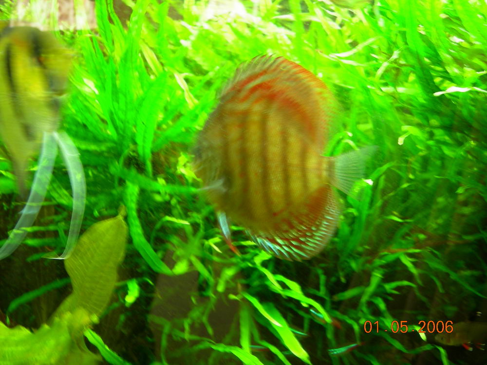 DSCN0695.JPG