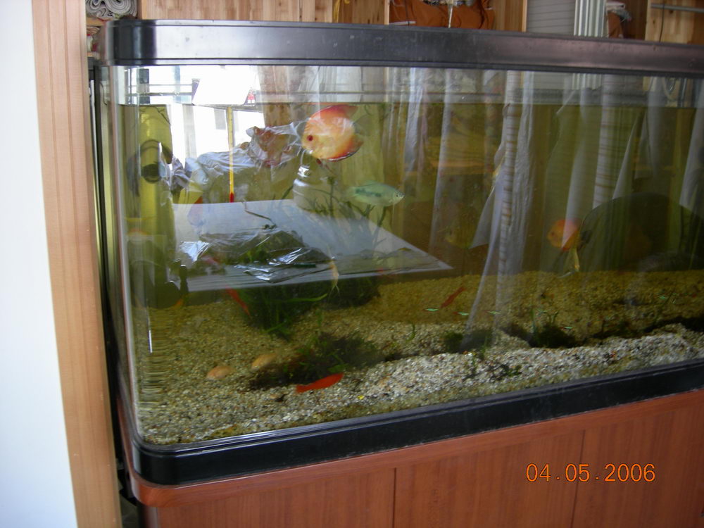 DSCN0714.JPG