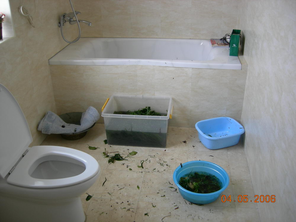 DSCN0716.JPG