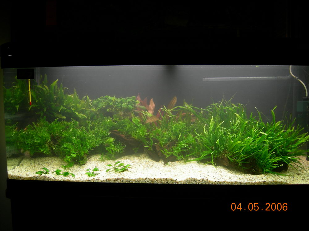 DSCN0730.JPG