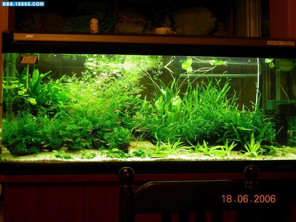 DSCN0888.JPG