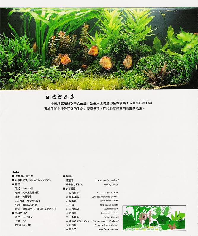 200512644132961.jpg