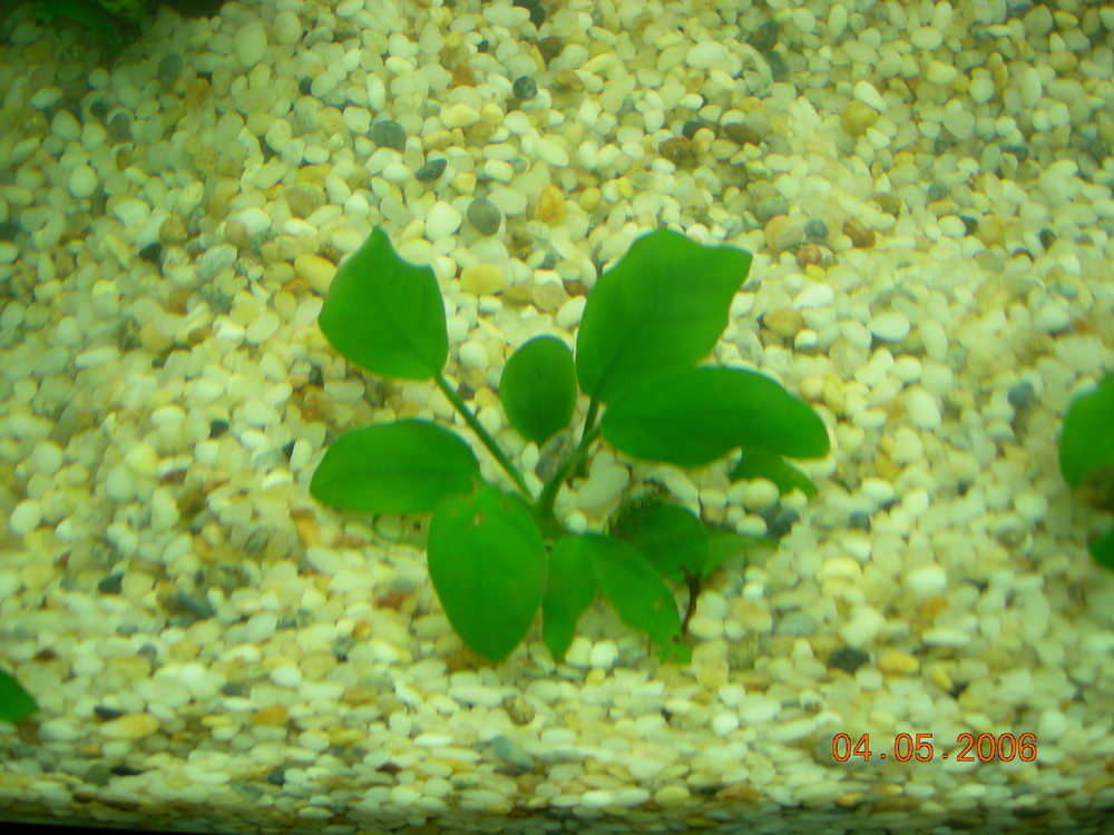 DSCN0734.JPG