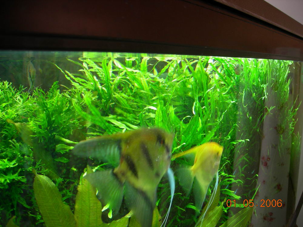 DSCN0705.JPG