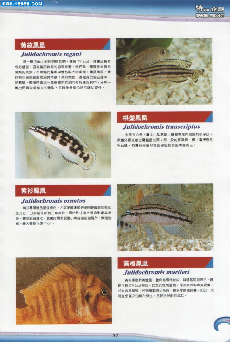 200381021223258099.jpg