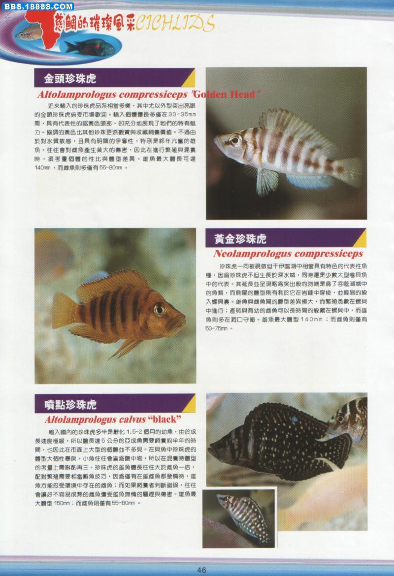 20038141643532111.jpg