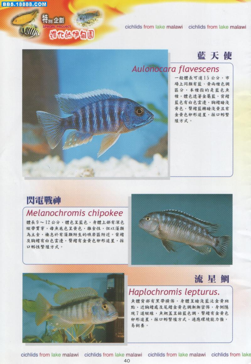 200381416145963271.jpg