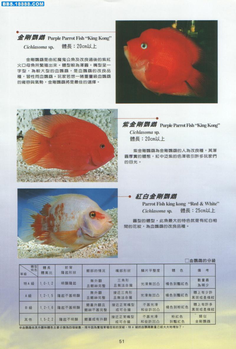 20038141663692475.jpg