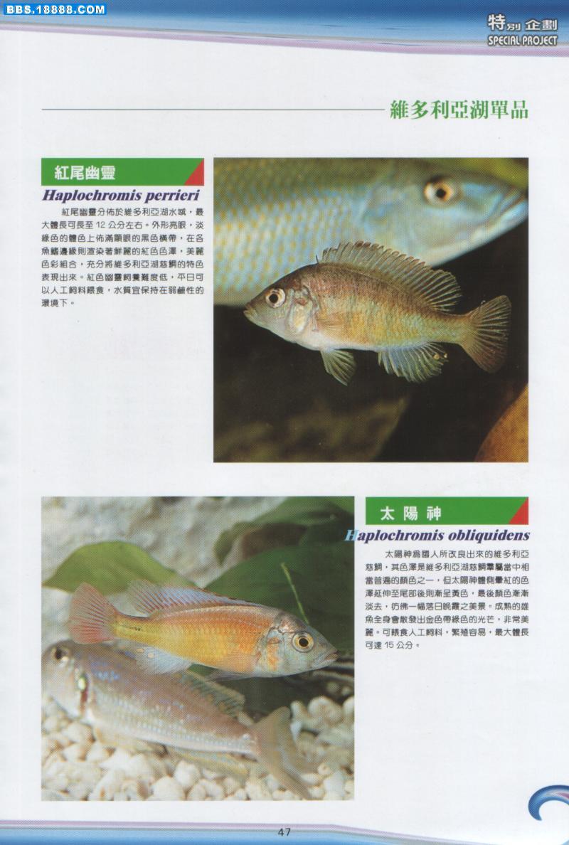 20038141645064130.jpg